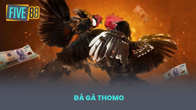 Đá Gà Thomo